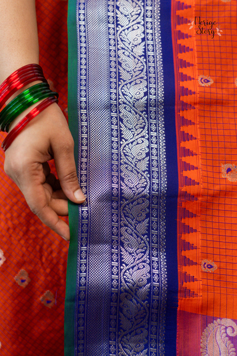 SHYENIMORIKA (శ్యేనిమోరికా)