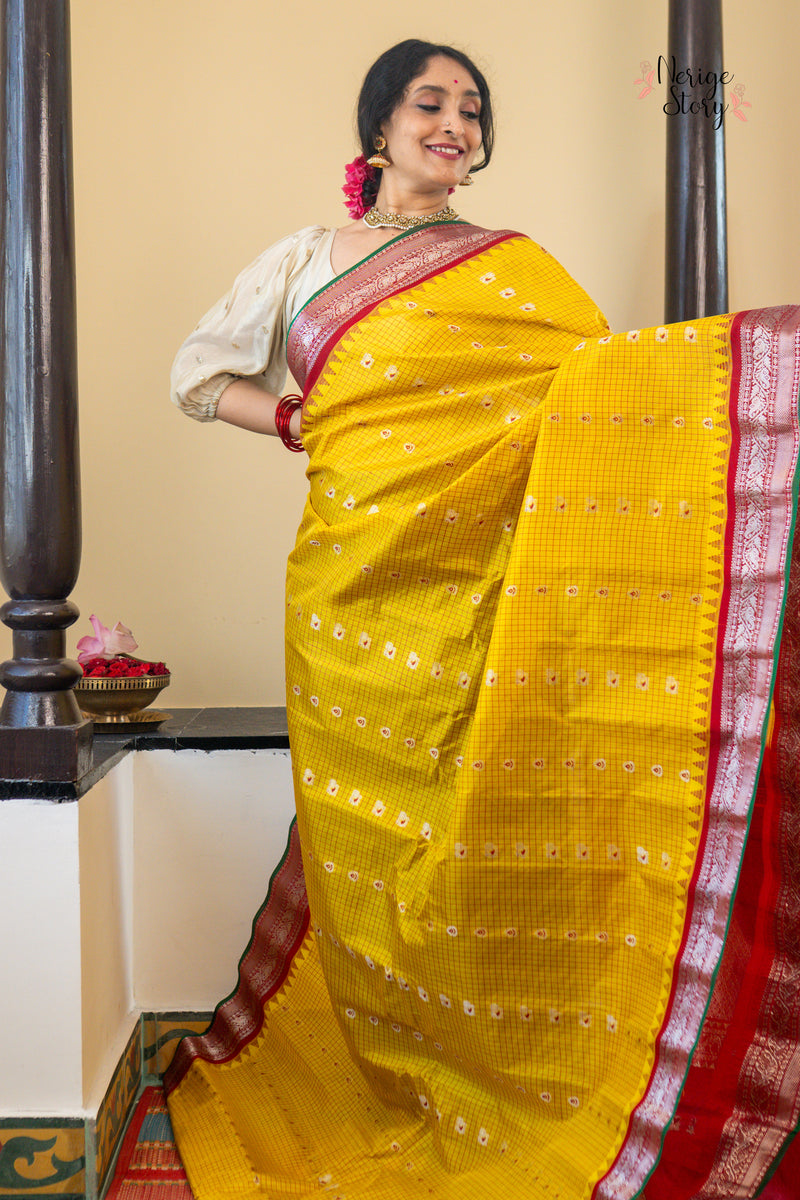 MAYURANJALI (మయూరాంజలి)