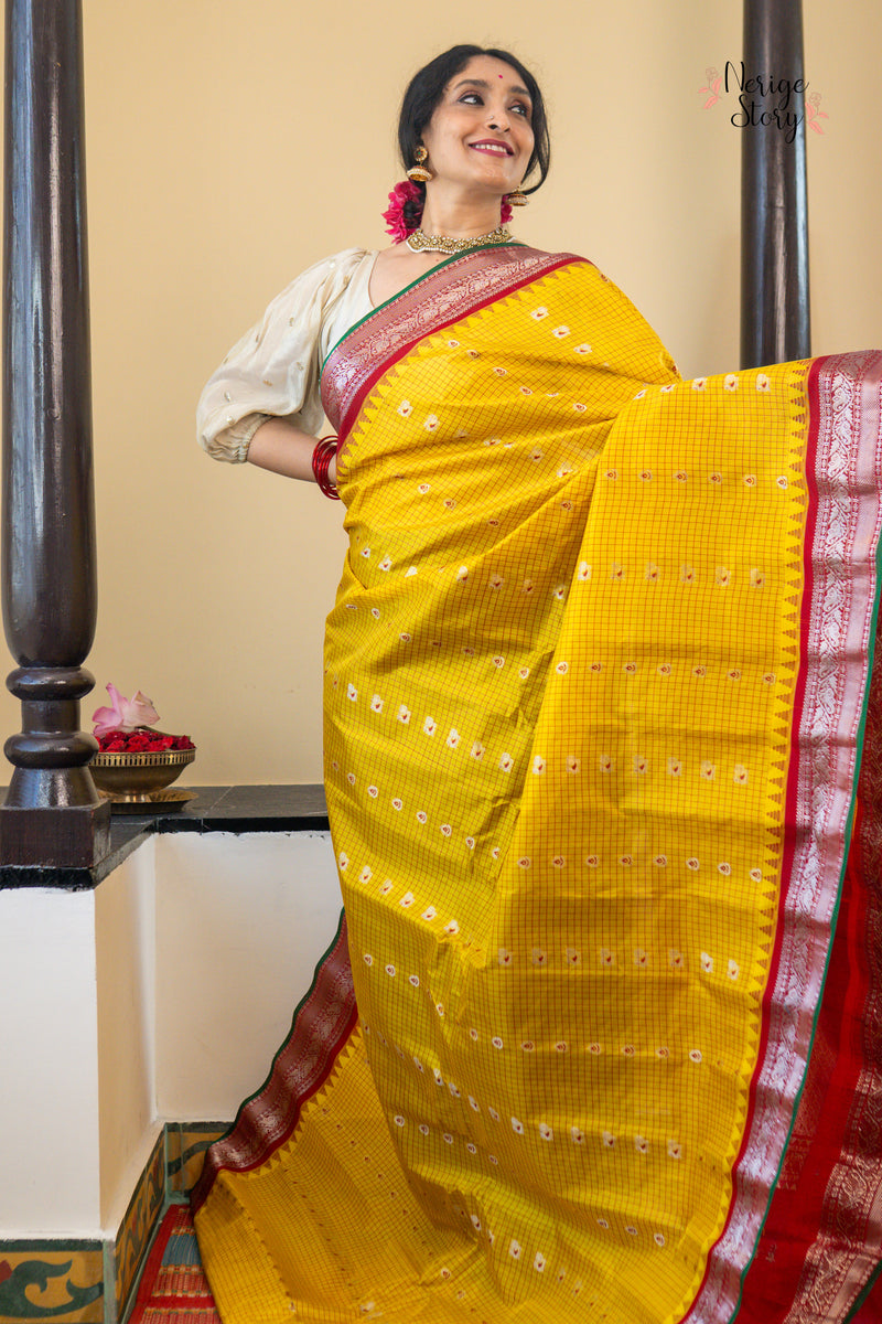 MAYURANJALI (మయూరాంజలి)