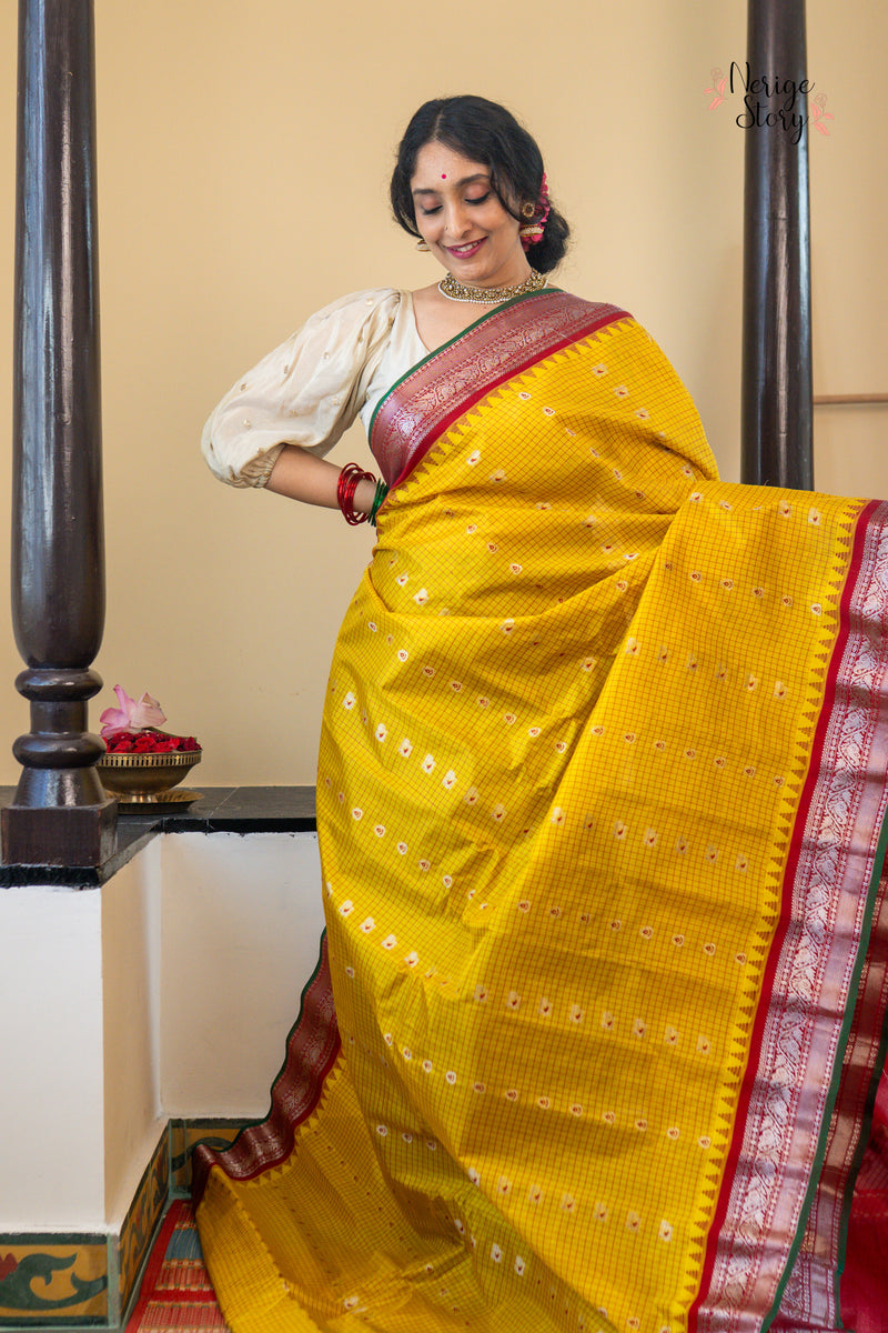MAYURANJALI (మయూరాంజలి)