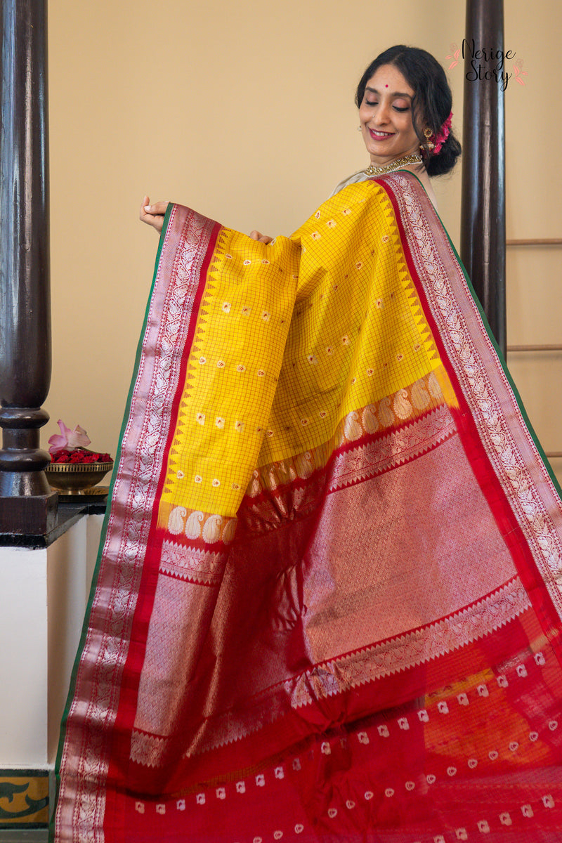 MAYURANJALI (మయూరాంజలి)