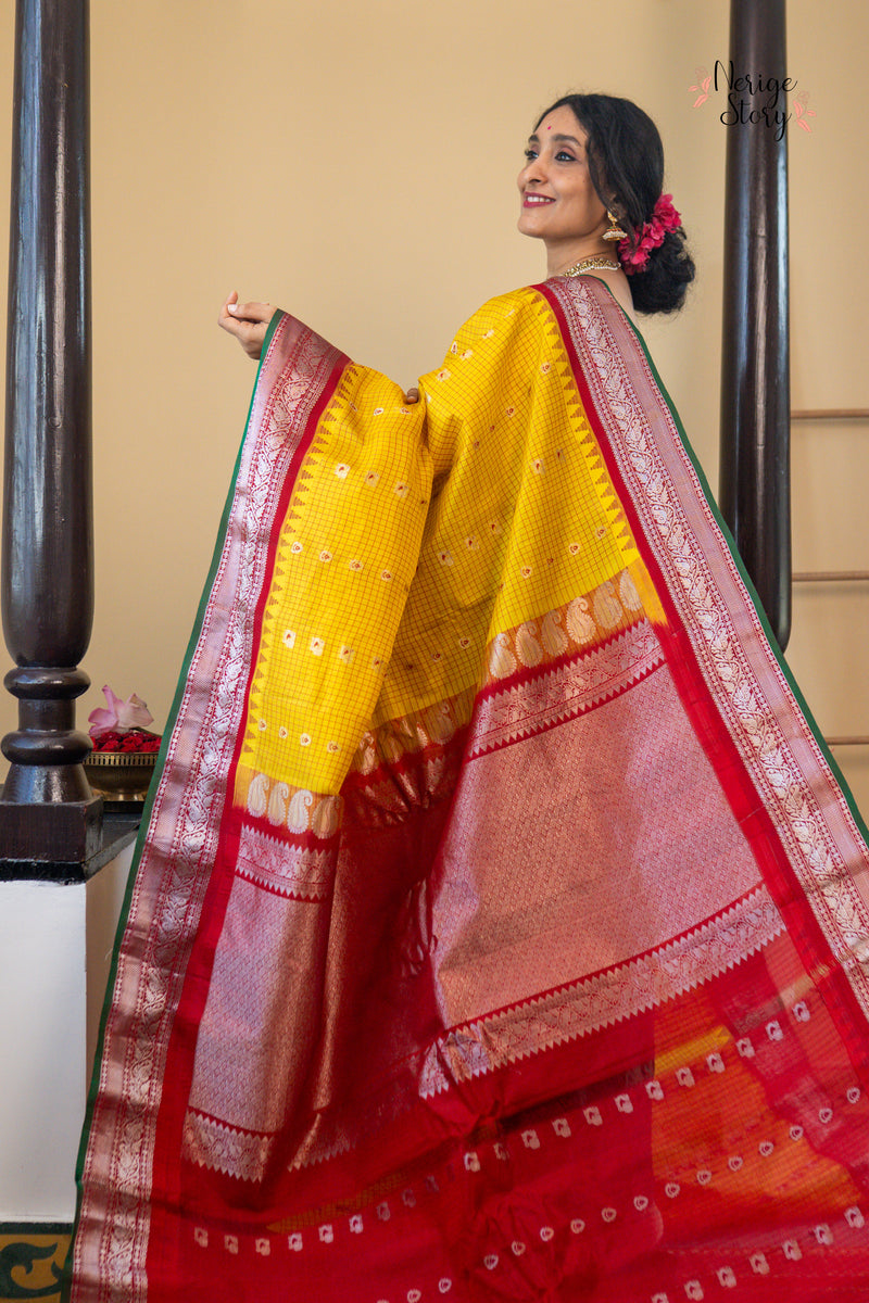 MAYURANJALI (మయూరాంజలి)