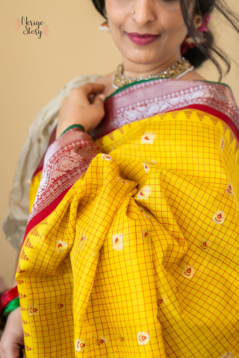 MAYURANJALI (మయూరాంజలి)
