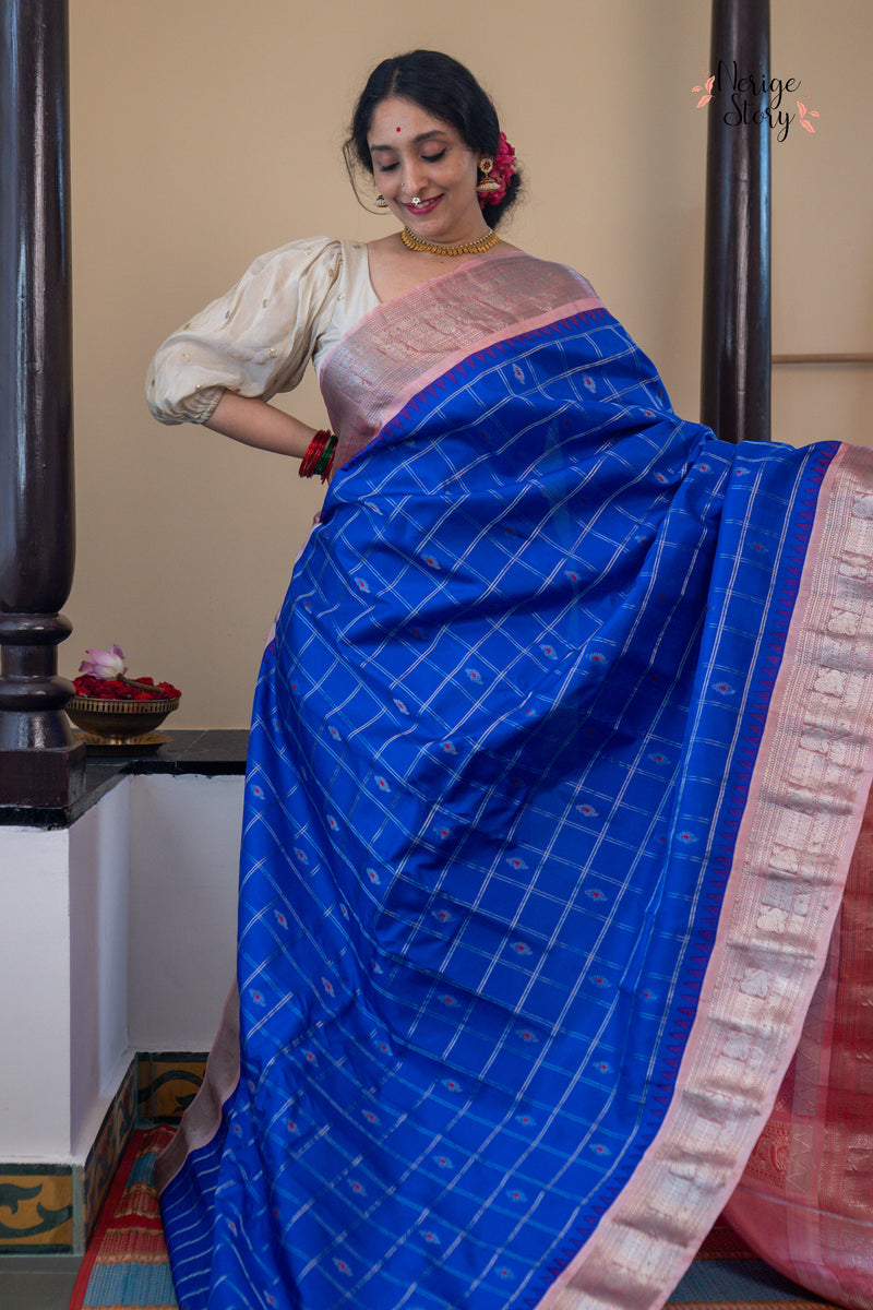 HAMSAMAYURI (హంసమయూరి)