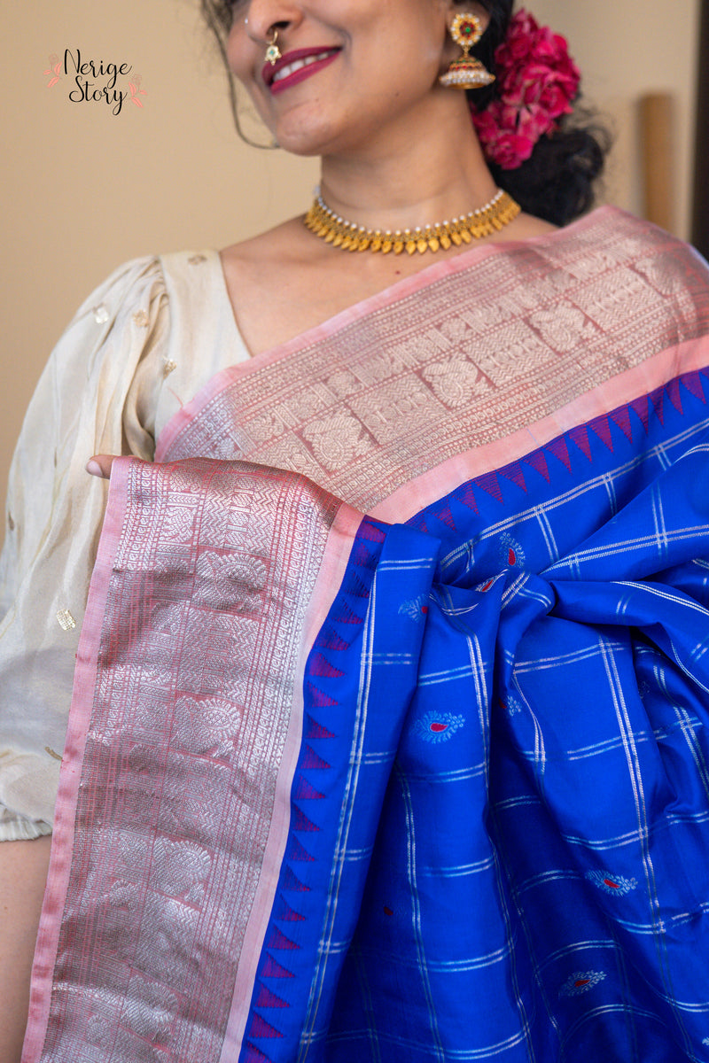 HAMSAMAYURI (హంసమయూరి)