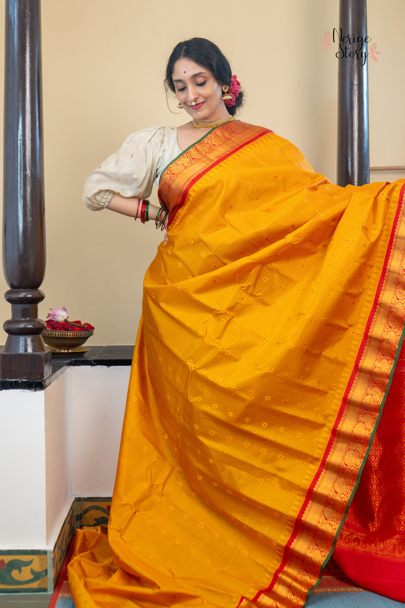 CHAKORIRANJANI (చకోరిరంజని)