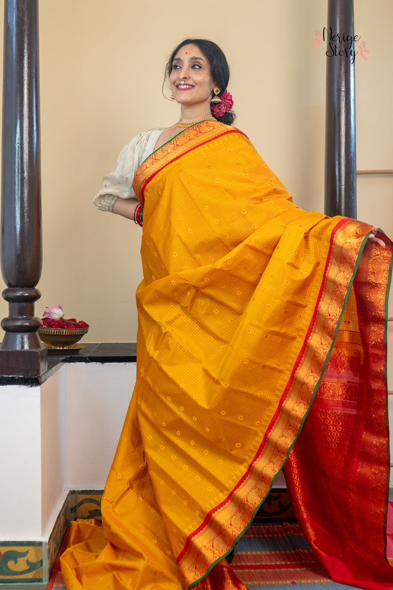 CHAKORIRANJANI (చకోరిరంజని)