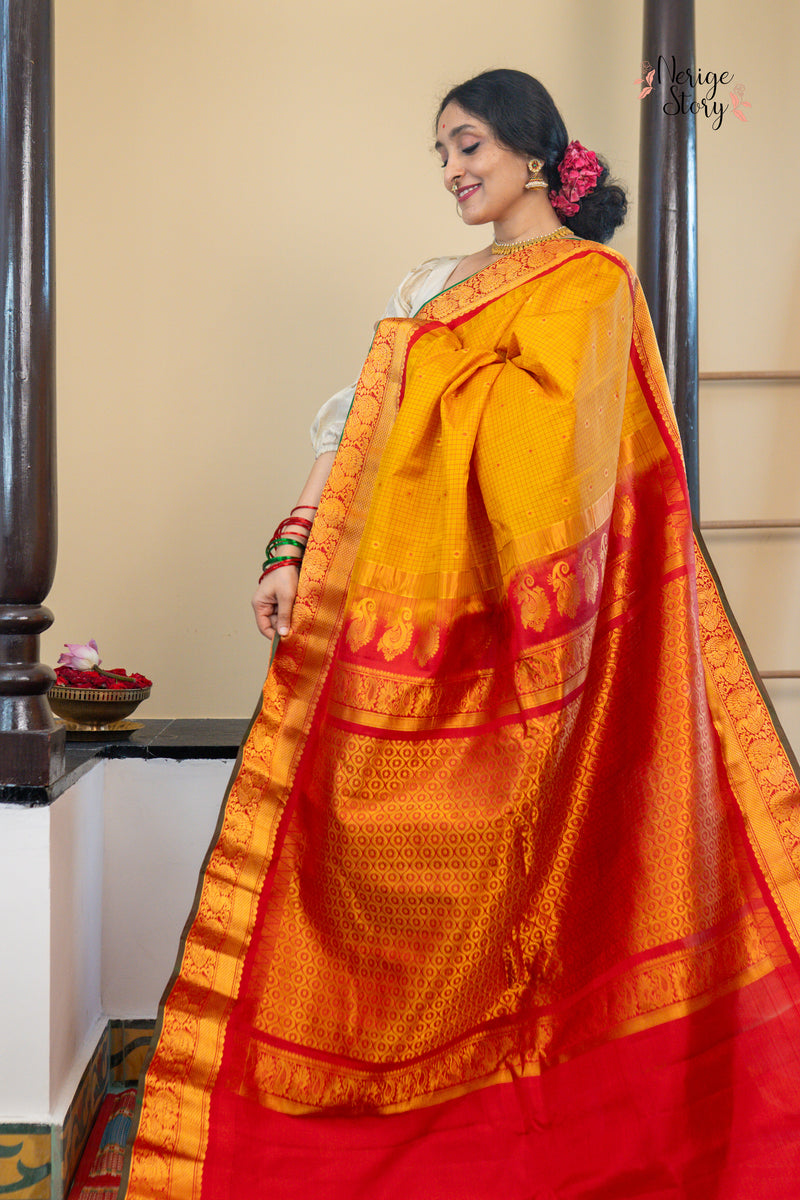 CHAKORIRANJANI (చకోరిరంజని)