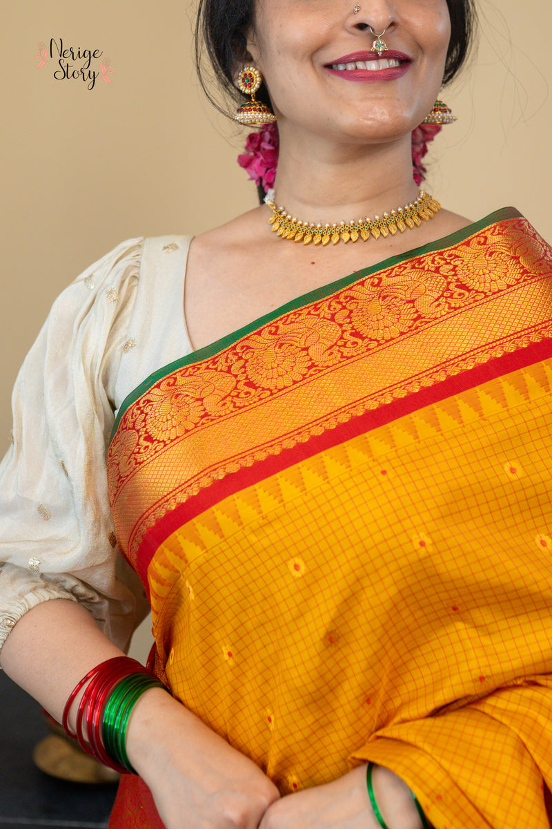 CHAKORIRANJANI (చకోరిరంజని)