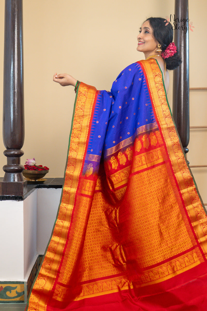 MORVILASINI (మోర్విలాసిని)