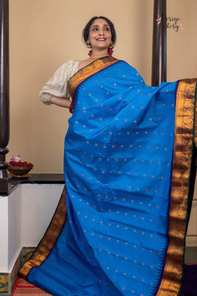 SHAARAVIHANSA (శారవిహంస)