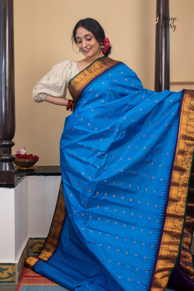 SHAARAVIHANSA (శారవిహంస)