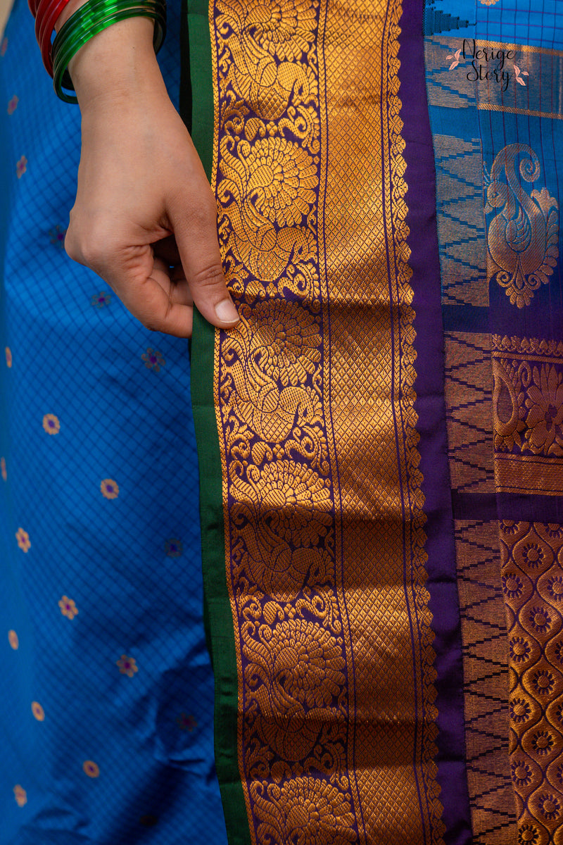 SHAARAVIHANSA (శారవిహంస)