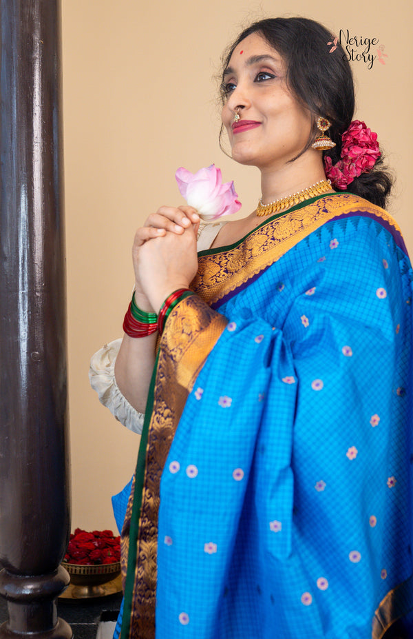 SHAARAVIHANSA (శారవిహంస)