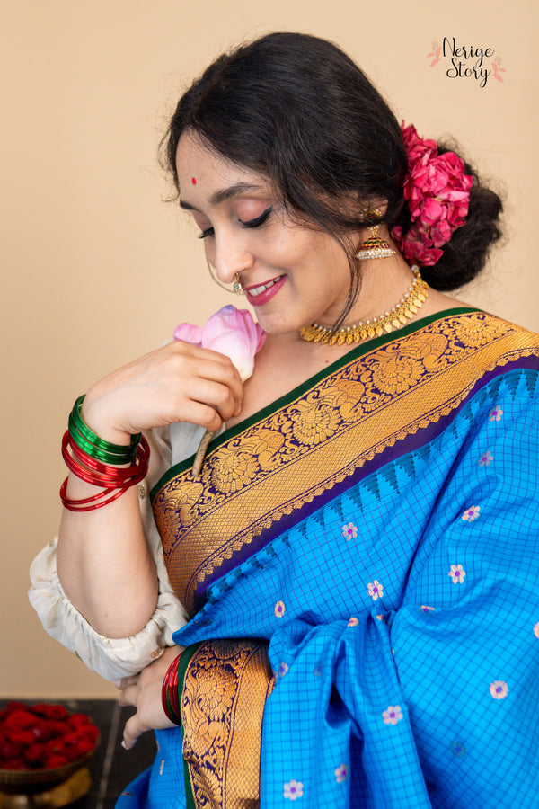 SHAARAVIHANSA (శారవిహంస)