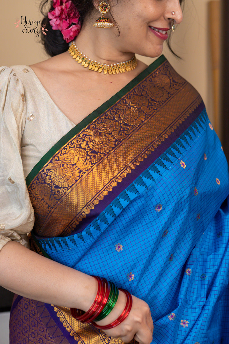 SHAARAVIHANSA (శారవిహంస)