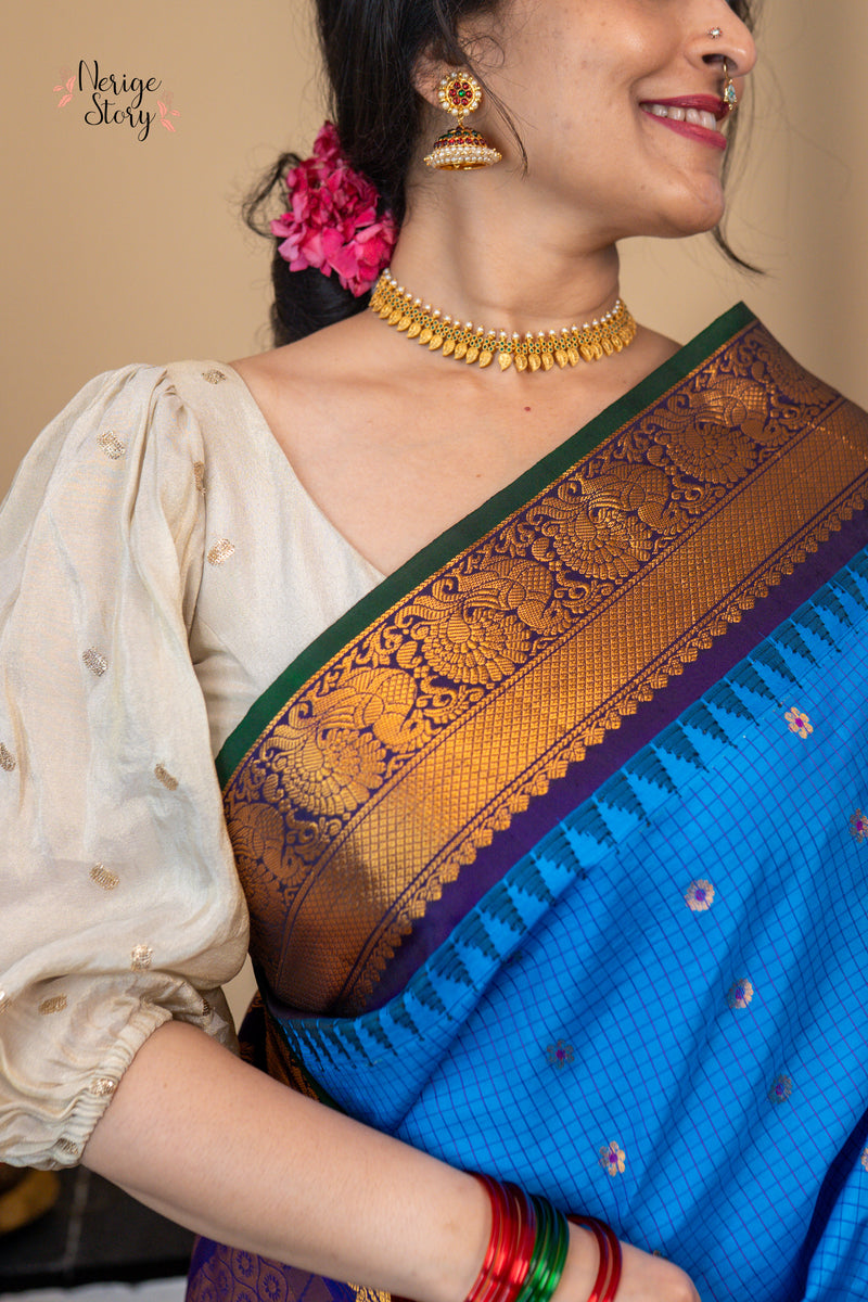 SHAARAVIHANSA (శారవిహంస)