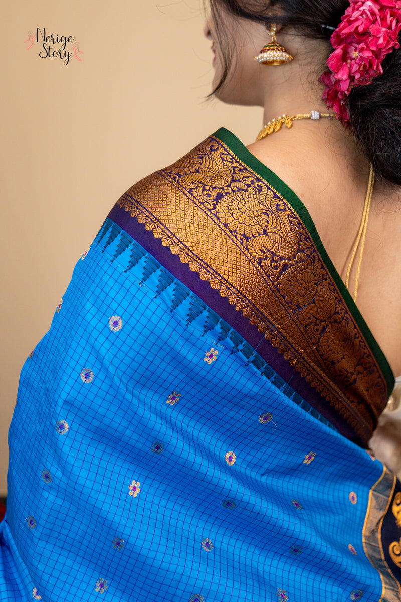 SHAARAVIHANSA (శారవిహంస)