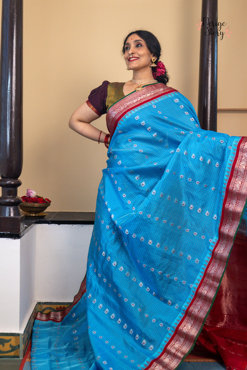 MAYURASHYAMALA (మయూరశ్యామల)
