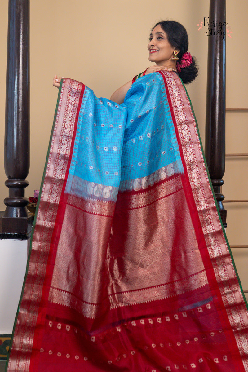 MAYURASHYAMALA (మయూరశ్యామల)