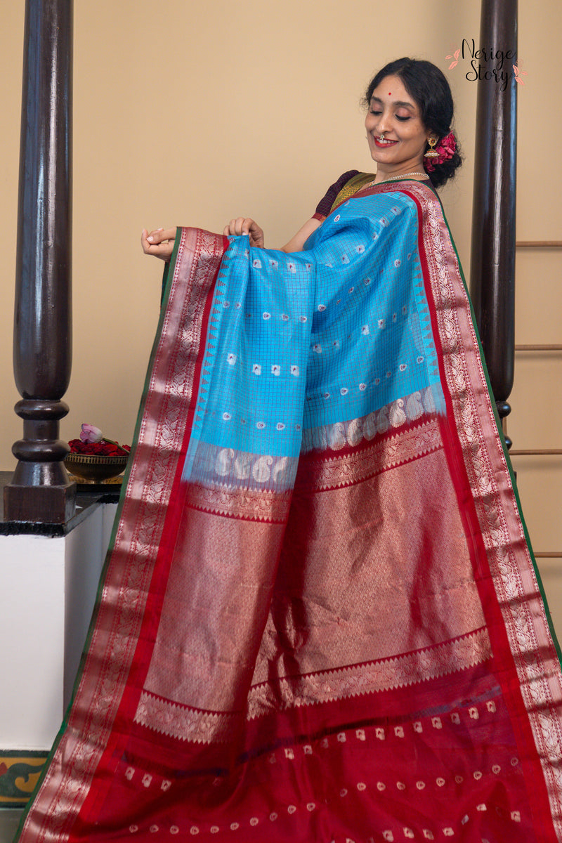 MAYURASHYAMALA (మయూరశ్యామల)
