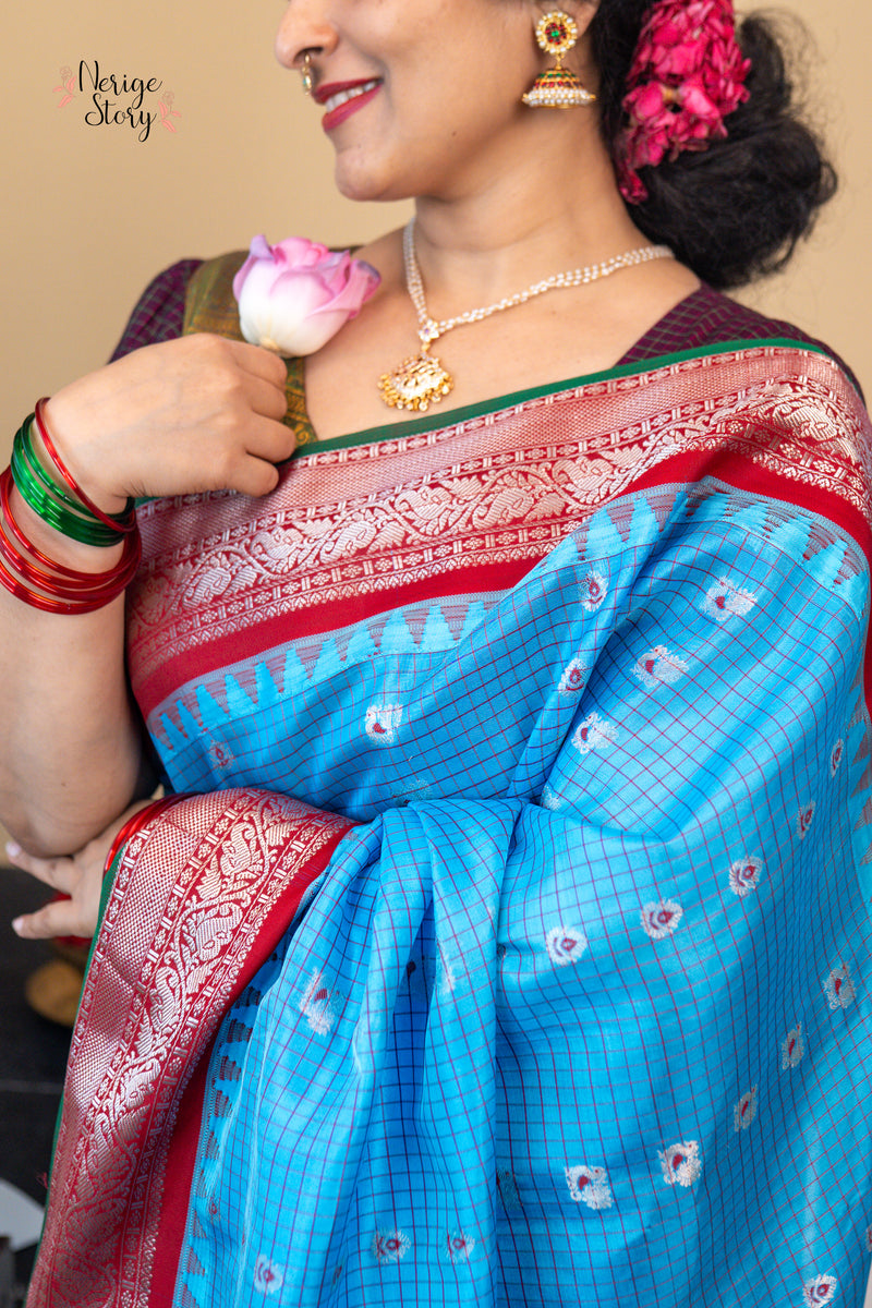 MAYURASHYAMALA (మయూరశ్యామల)