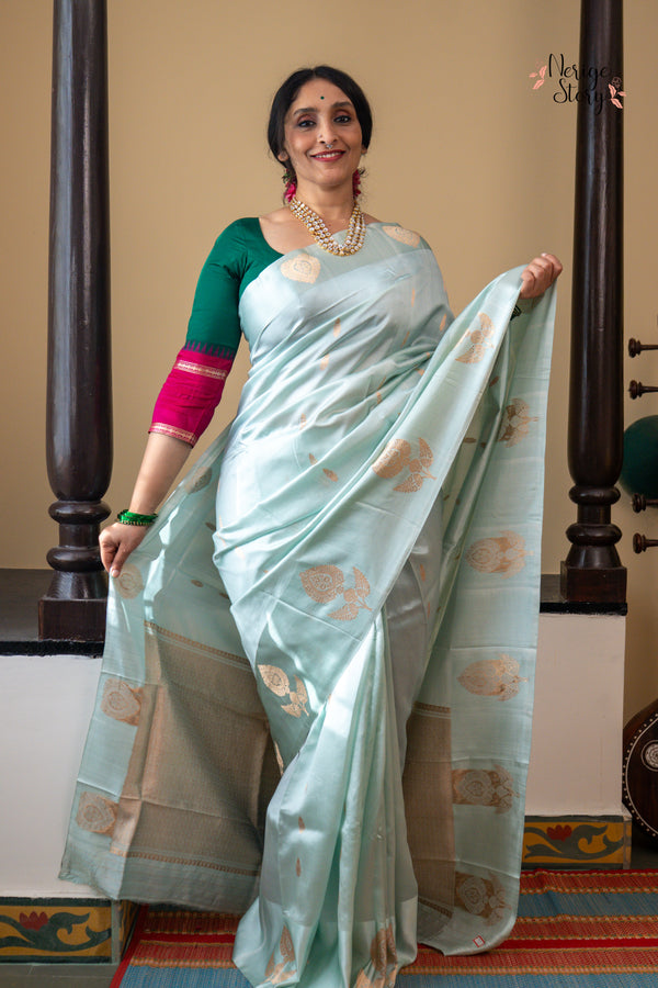 TANVI (तन्वी )