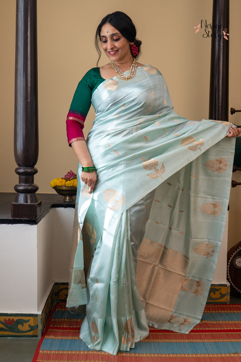 TANVI (तन्वी )