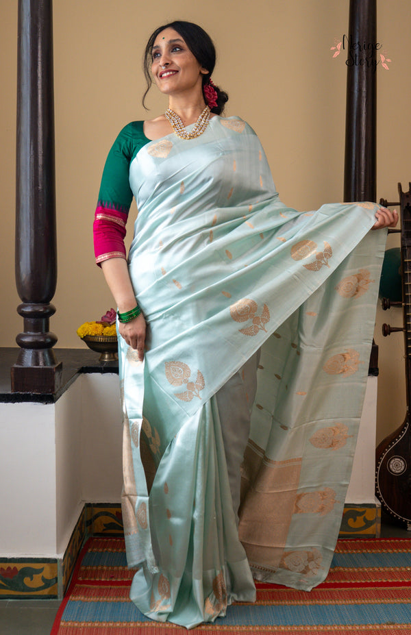 TANVI (तन्वी )