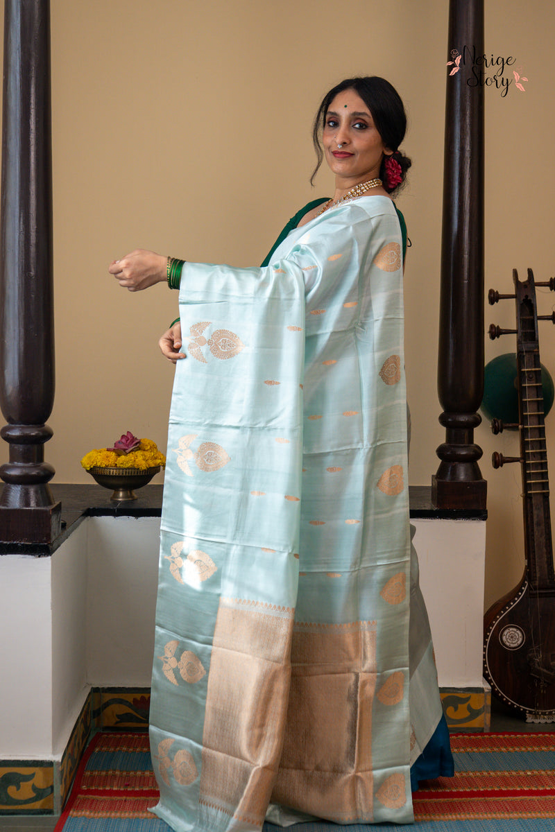 TANVI (तन्वी )