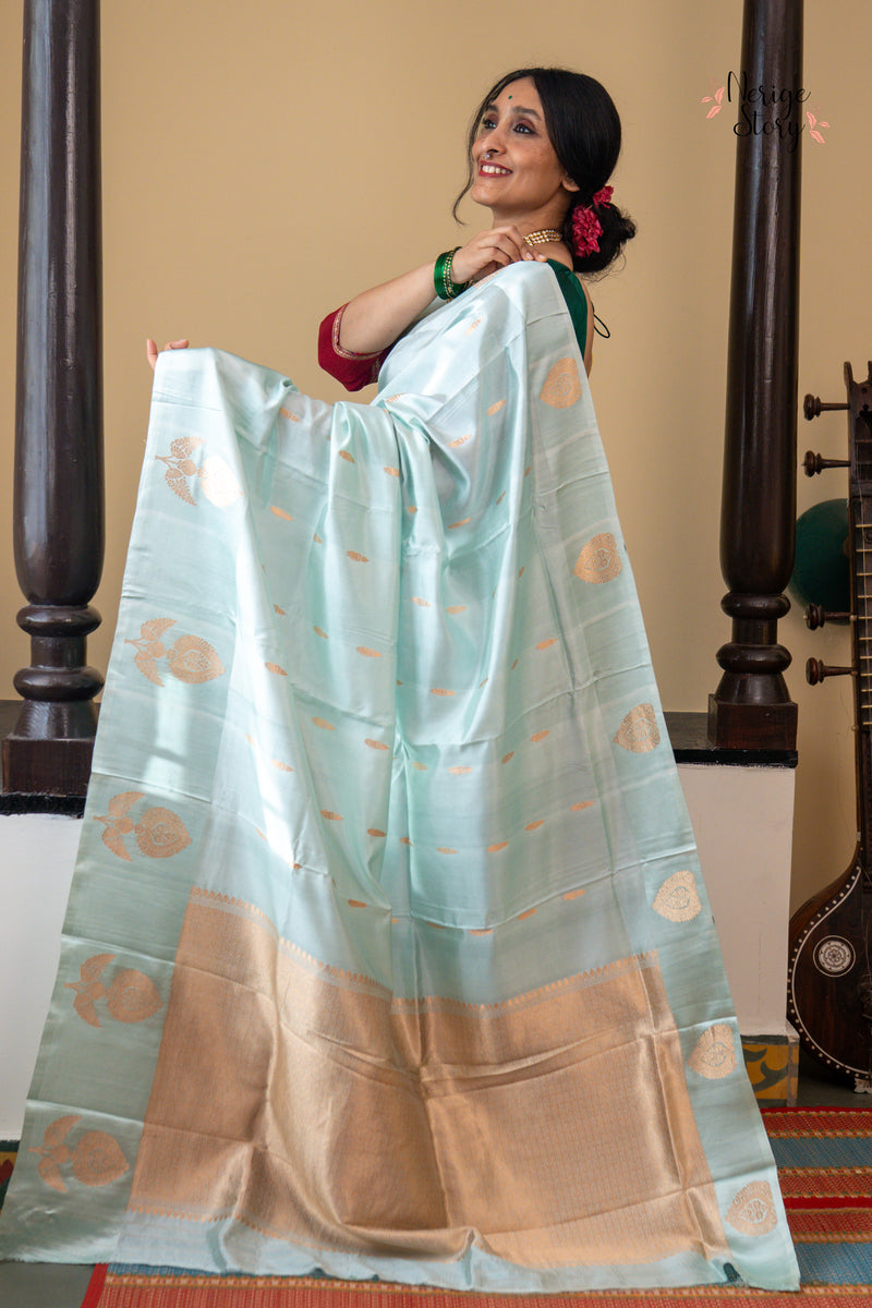 TANVI (तन्वी )
