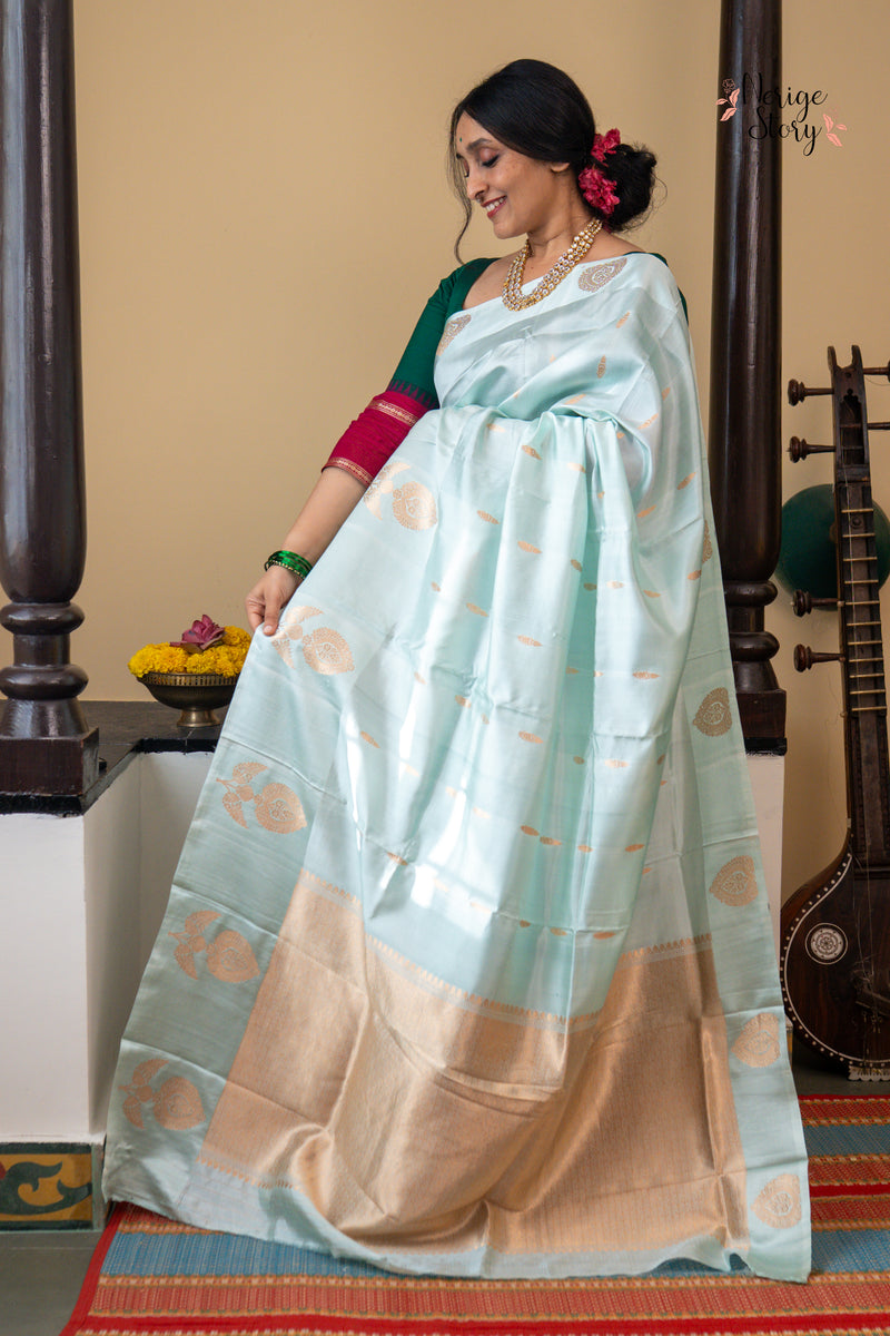 TANVI (तन्वी )