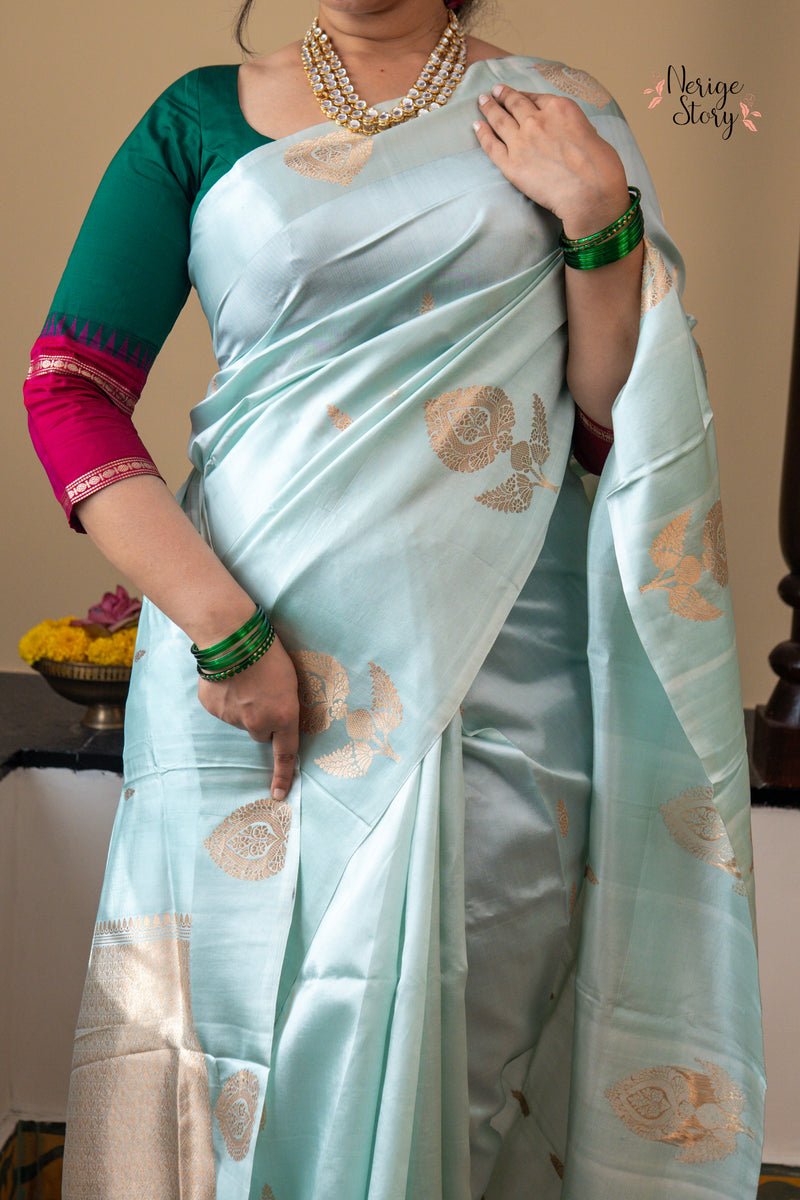 TANVI (तन्वी )