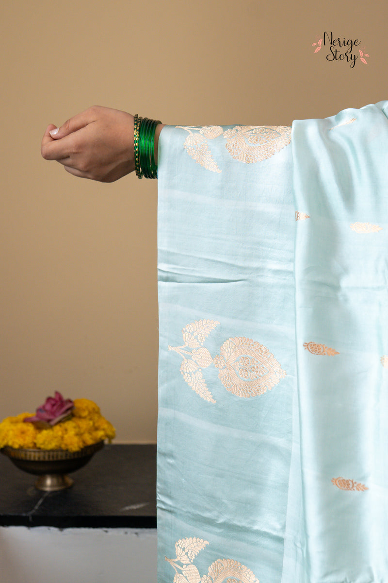 TANVI (तन्वी )