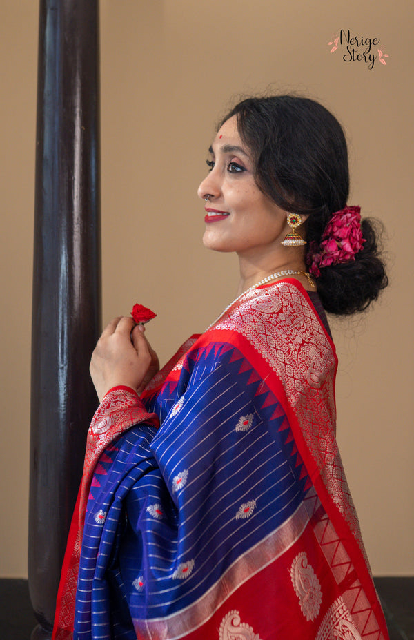 PIKALEKHA (పికలేఖా)