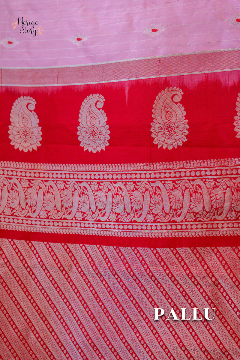 NEELAPAKSHI (నీలాపక్షి)