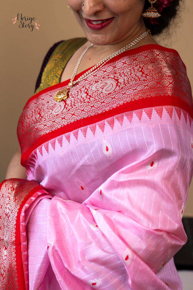 NEELAPAKSHI (నీలాపక్షి)