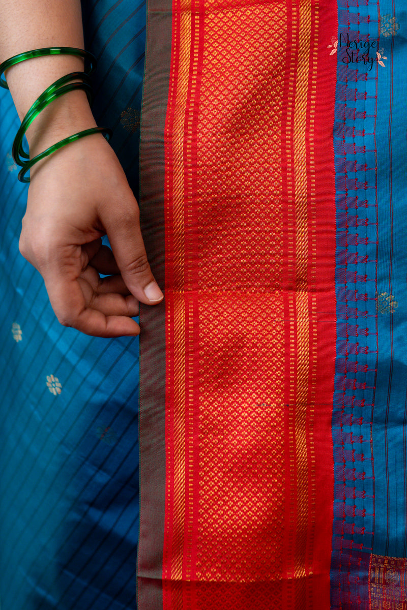 PAKSHIDHARA (పక్షిధారా)