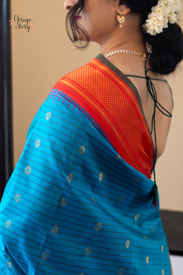 PAKSHIDHARA (పక్షిధారా)