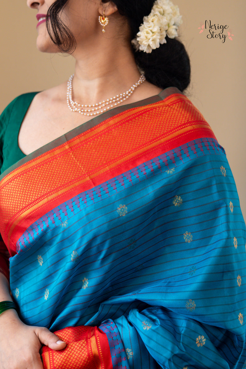 PAKSHIDHARA (పక్షిధారా)