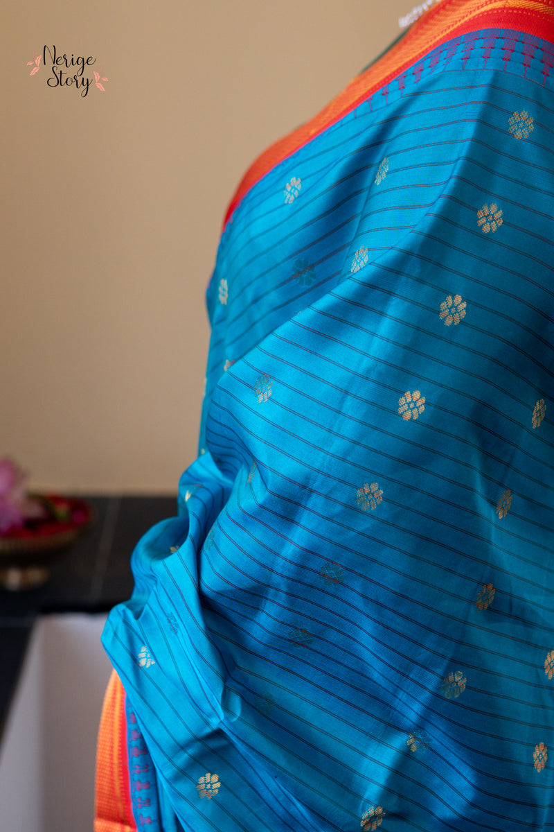 PAKSHIDHARA (పక్షిధారా)