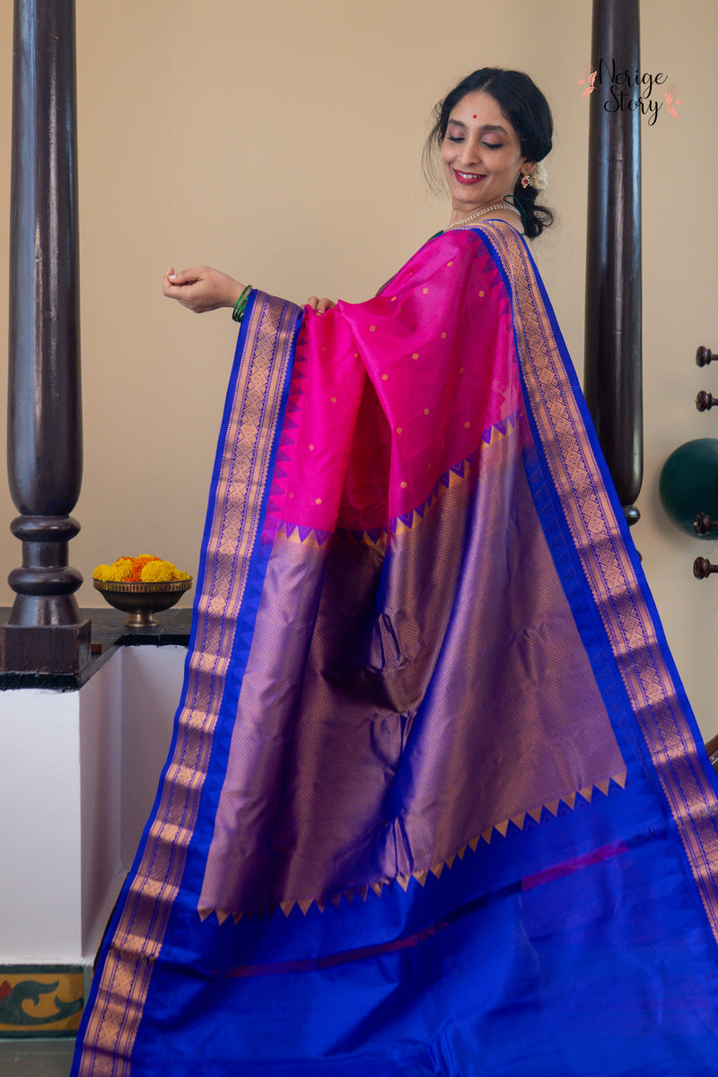 TITTIRINAYANI (తిత్తిరినాయన)