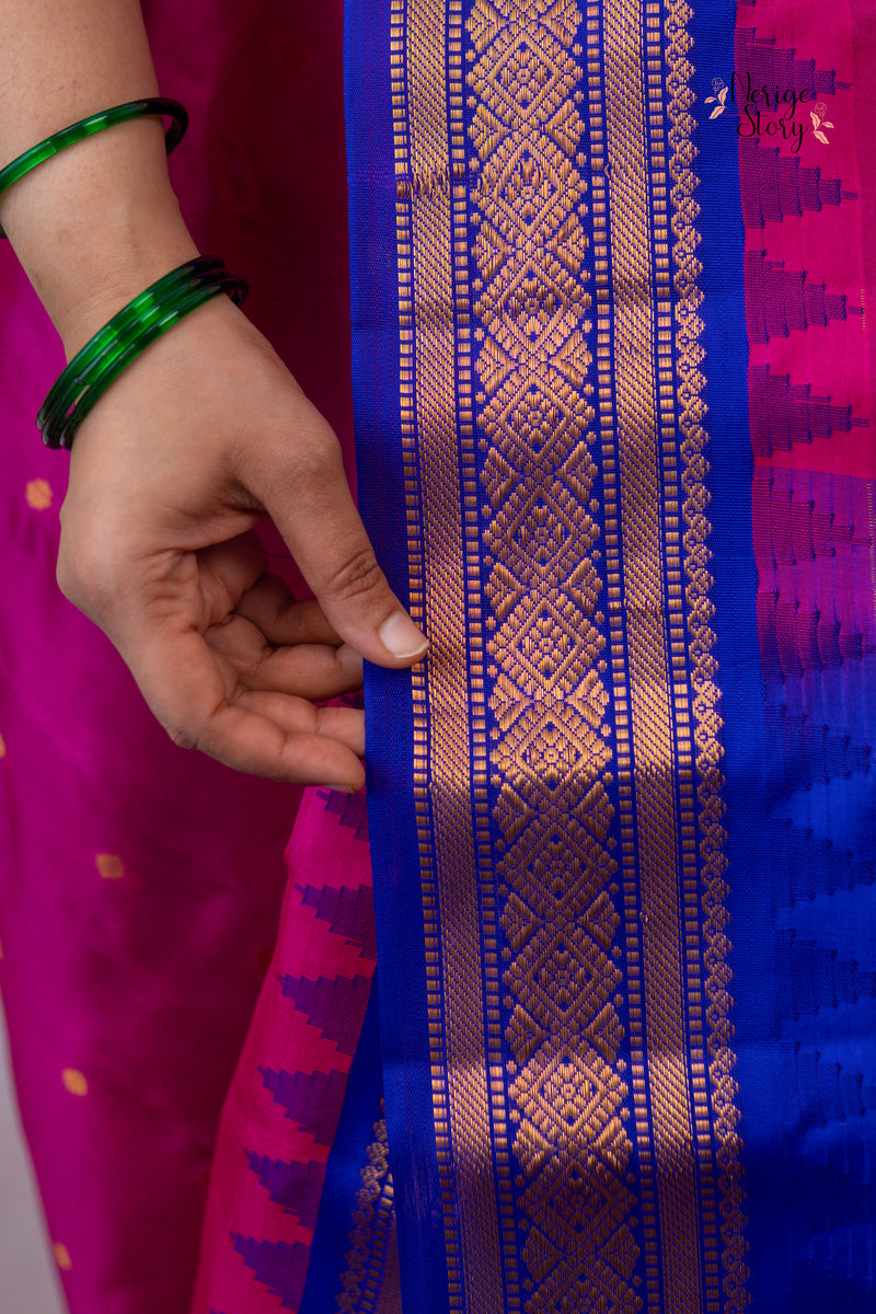 TITTIRINAYANI (తిత్తిరినాయన)