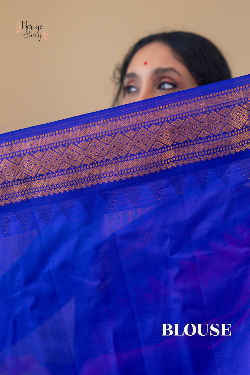 TITTIRINAYANI (తిత్తిరినాయన)