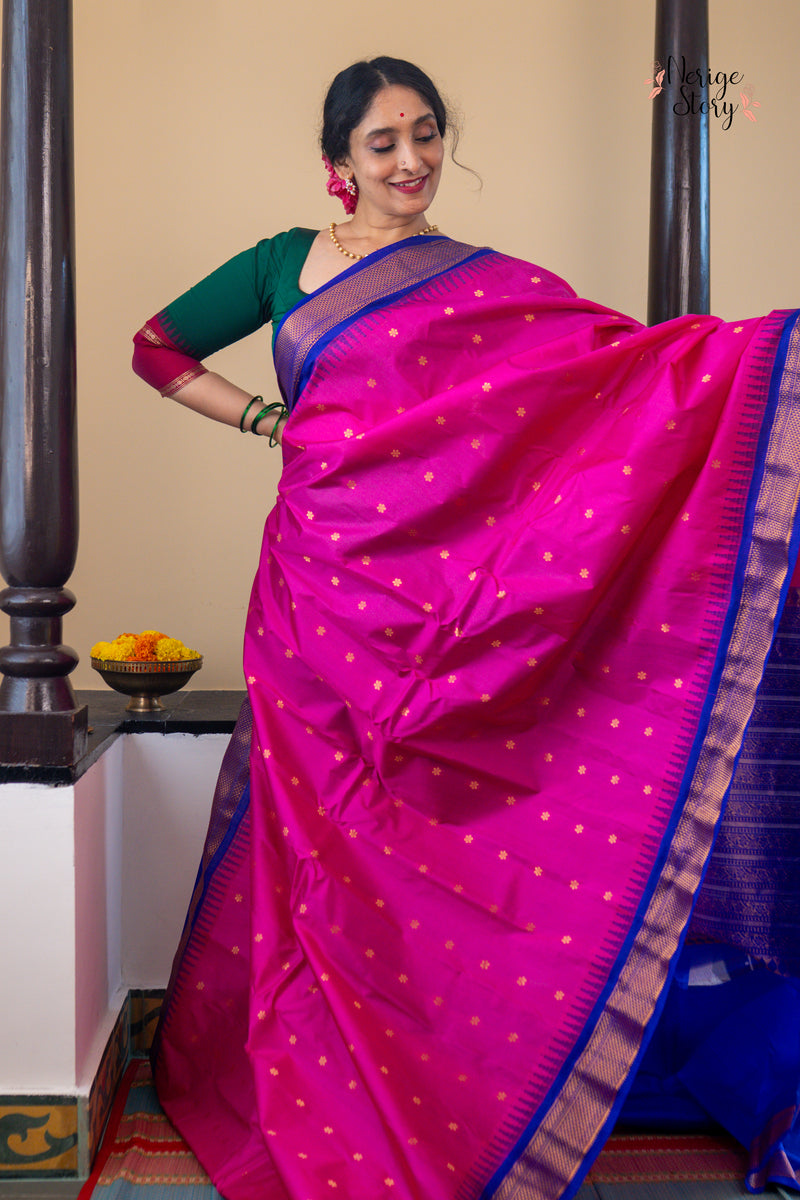 HANSARANJANA (హంసరంజన)