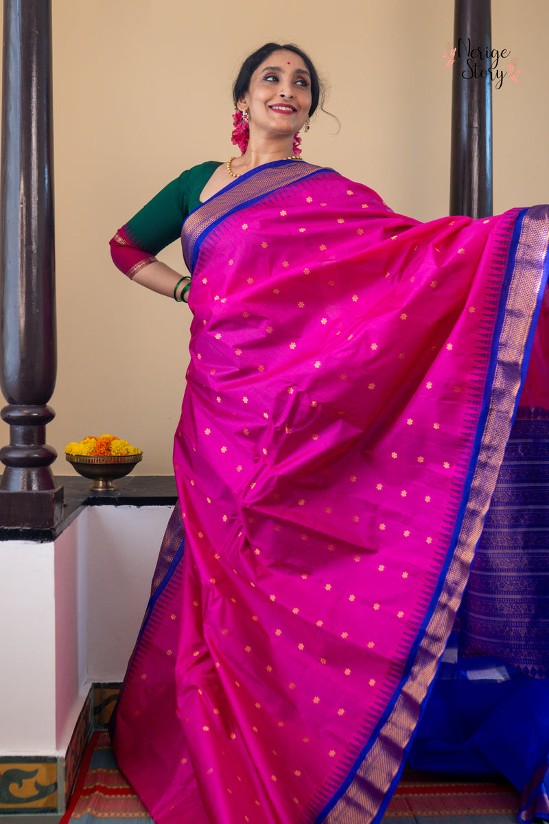 HANSARANJANA (హంసరంజన)
