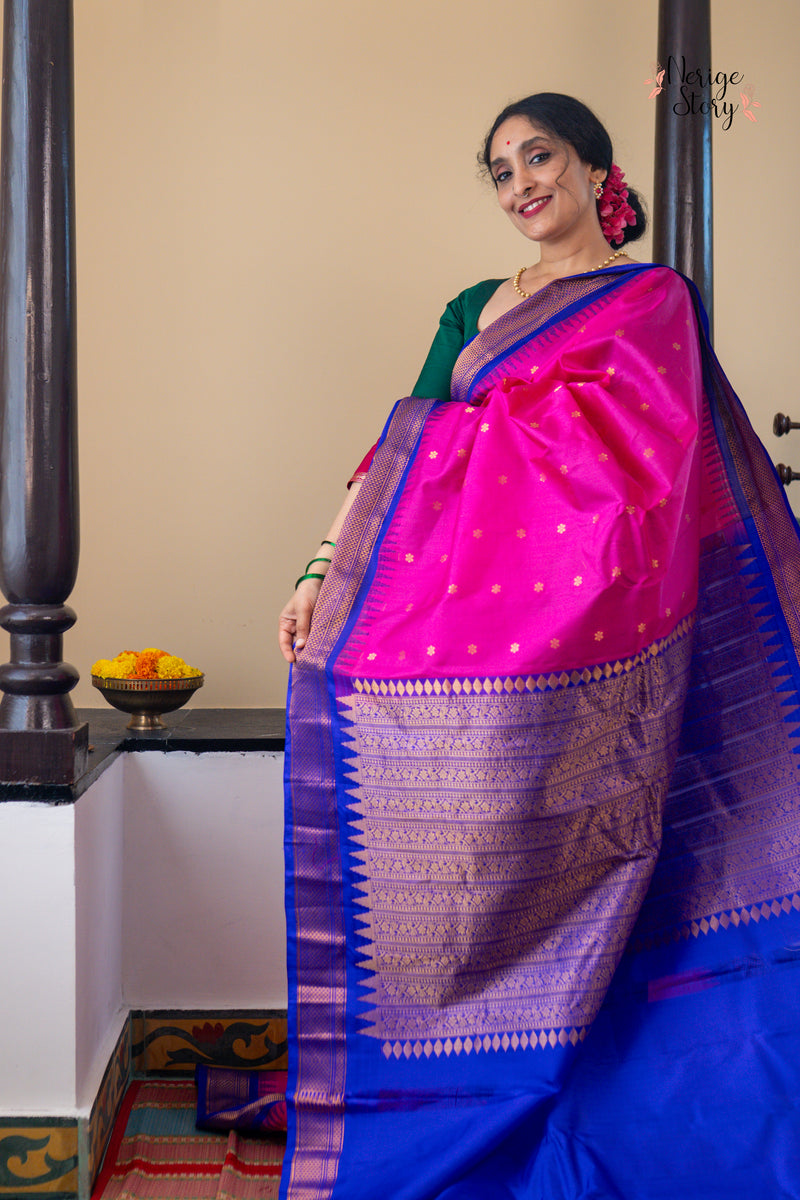 HANSARANJANA (హంసరంజన)