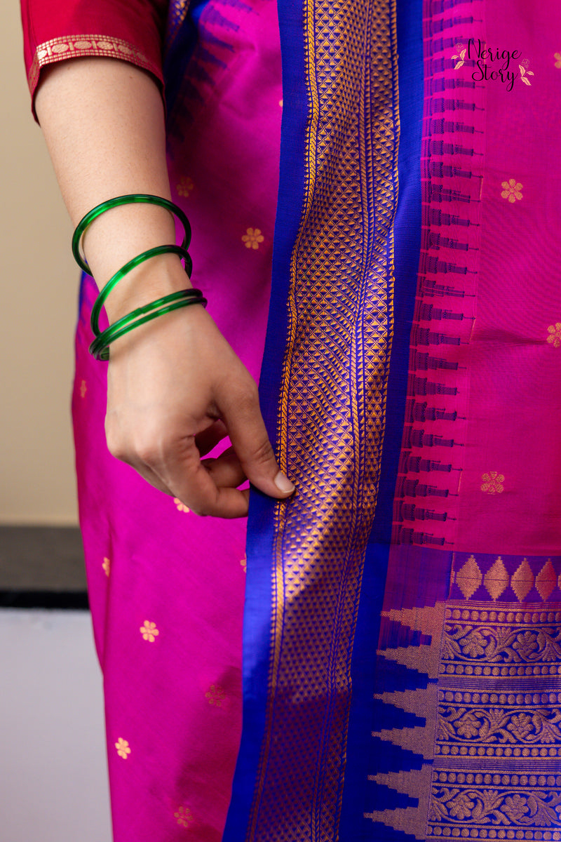 HANSARANJANA (హంసరంజన)