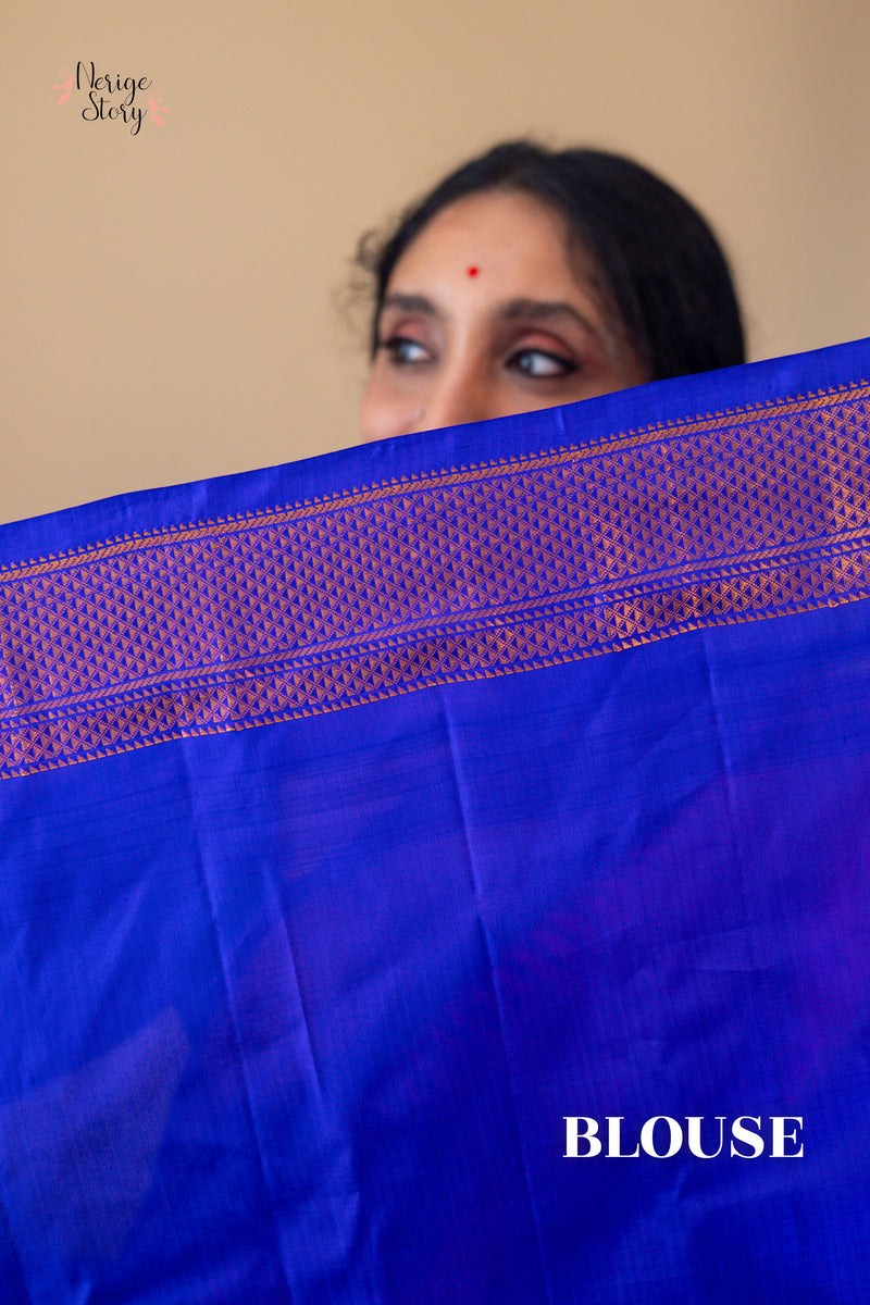 HANSARANJANA (హంసరంజన)