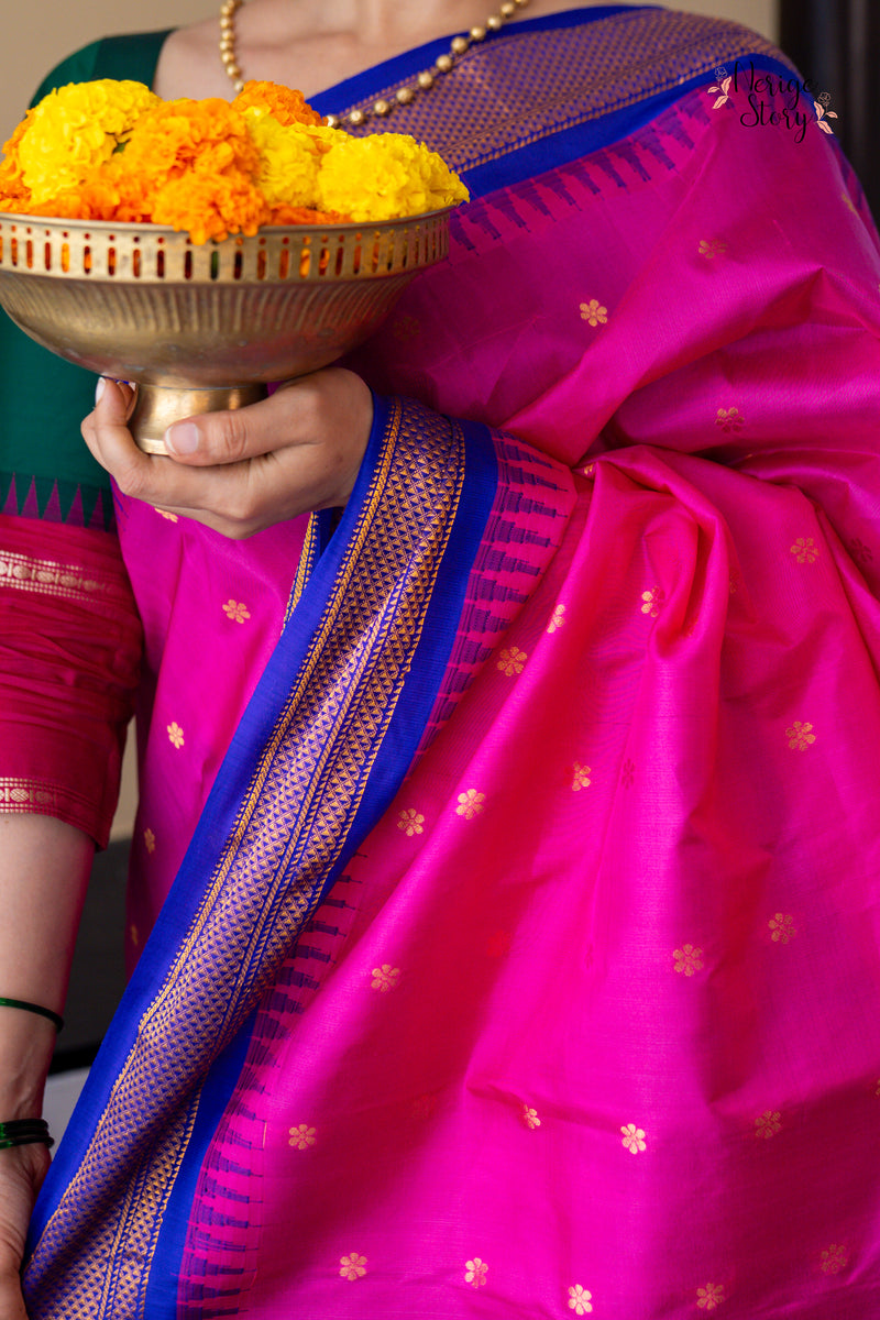 HANSARANJANA (హంసరంజన)